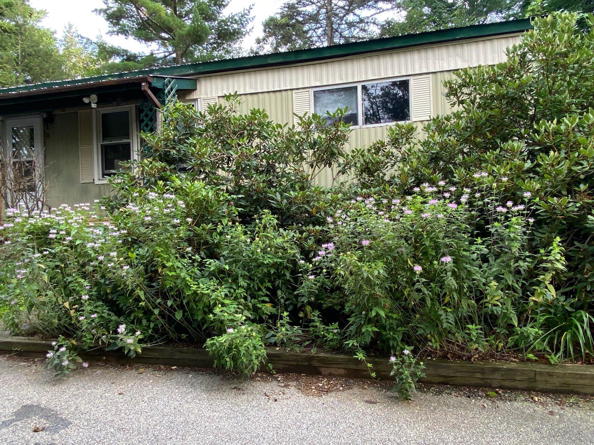 52 Danville Road Kingston, NH 03848 - Photo 20 of 22