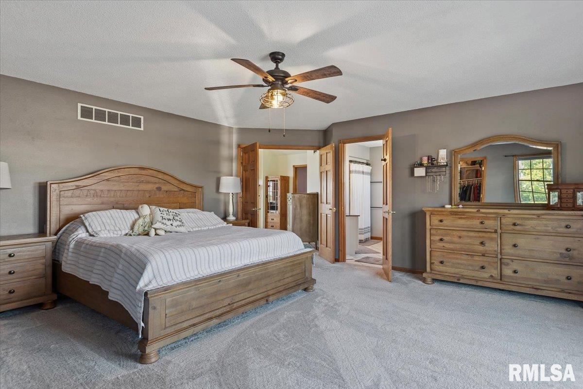 20205 North 20th Avenue Nokomis, IL 62075 - Photo 25 of 88