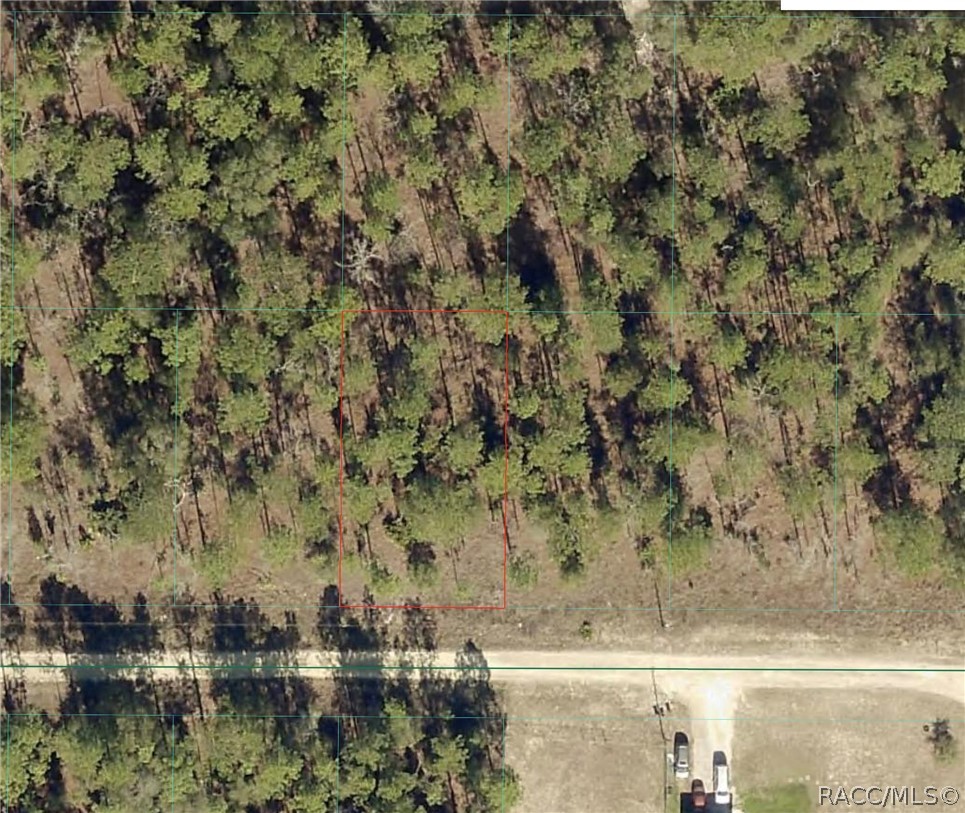 Tbd Southwest 38 St Road Avon Park, FL 33825 - Photo 2 of 2 Gallery Image 2