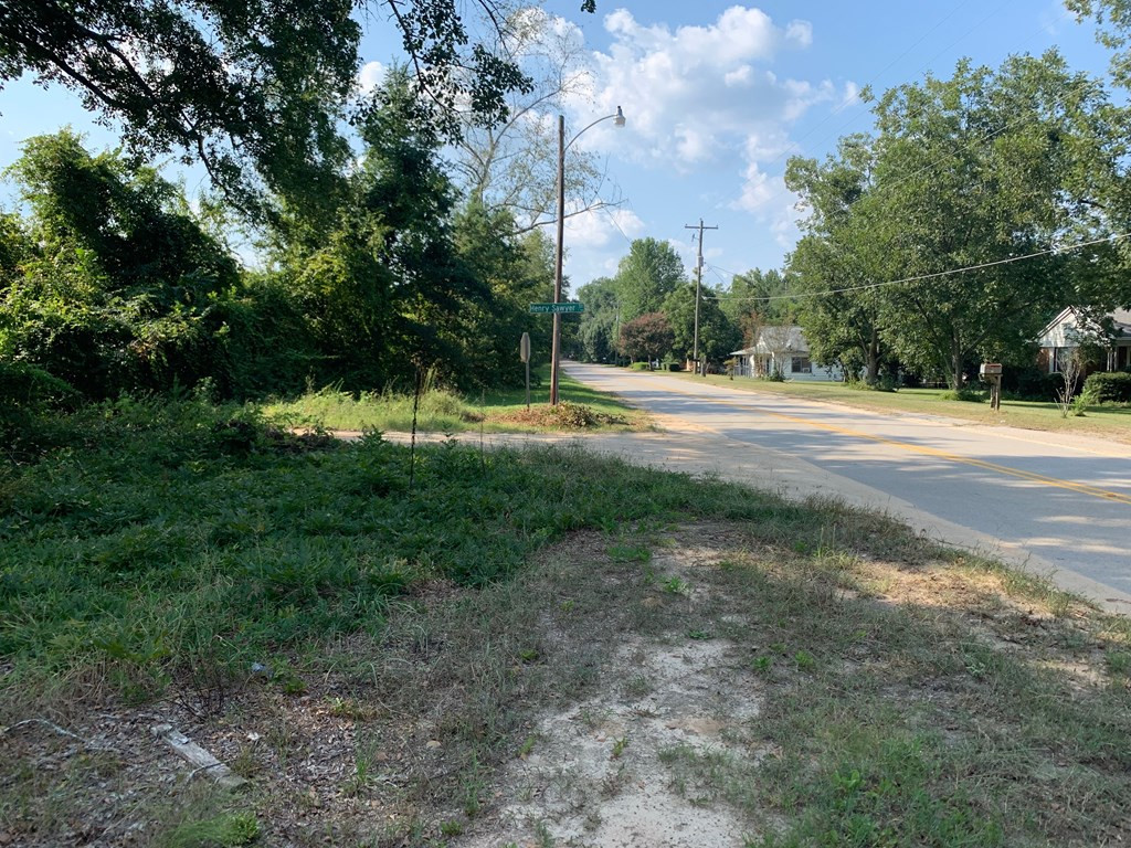 355 Academy Street Monetta, SC 29105 - Photo 2 of 4 Gallery Image 2