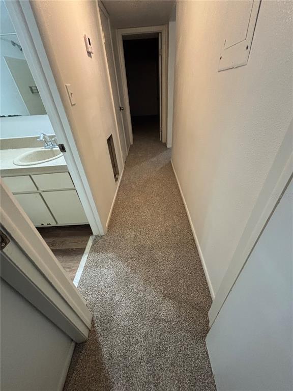 7667 Abonado Road, Unit 7667 Tampa, FL 33615 - Photo 6 of 7