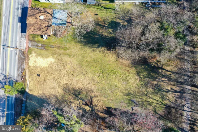 a view of a yard with plants