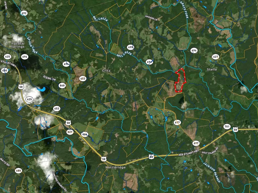 Tbd Dick And Willie Road Critz, VA 24082 - Photo 51 of 53 Gallery Image 51