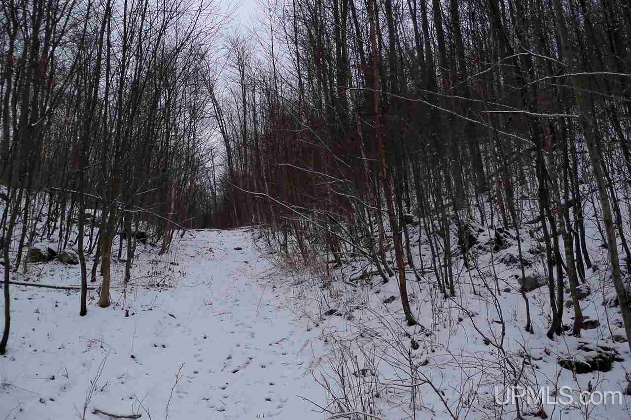 26 Co Road Negaunee, MI 49866 - Photo 23 of 31