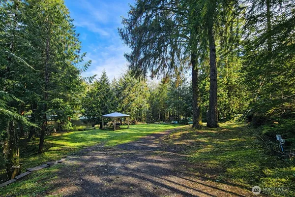 a view of a park with large trees