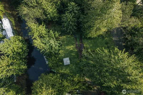 a view of a garden with plants