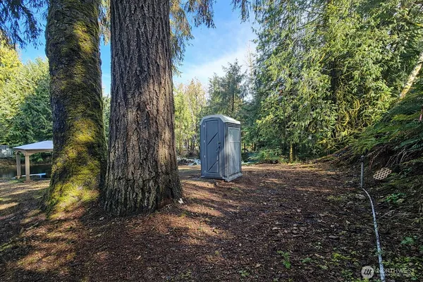 a view of a backyard with large trees and wooden fence