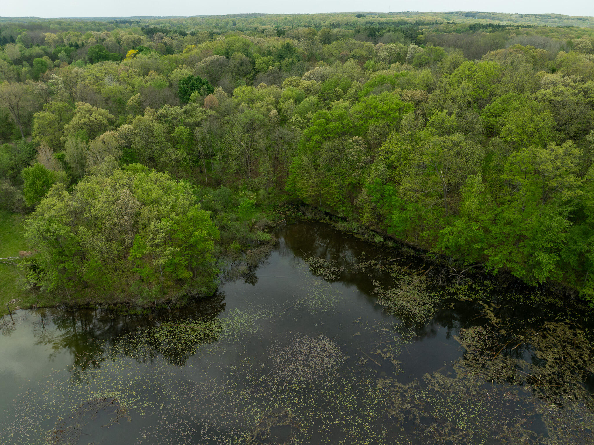 Vl Vl Tipsico Lake Road Fenton, MI 48430 - Photo 18 of 21 DJI_0318