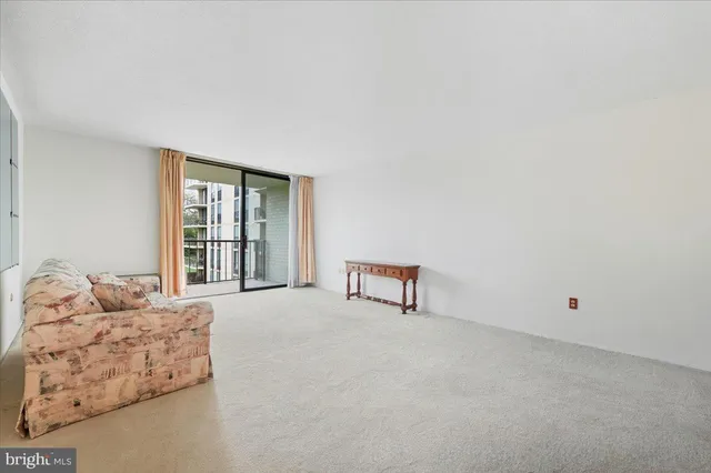 a view of a big yard with a large trees