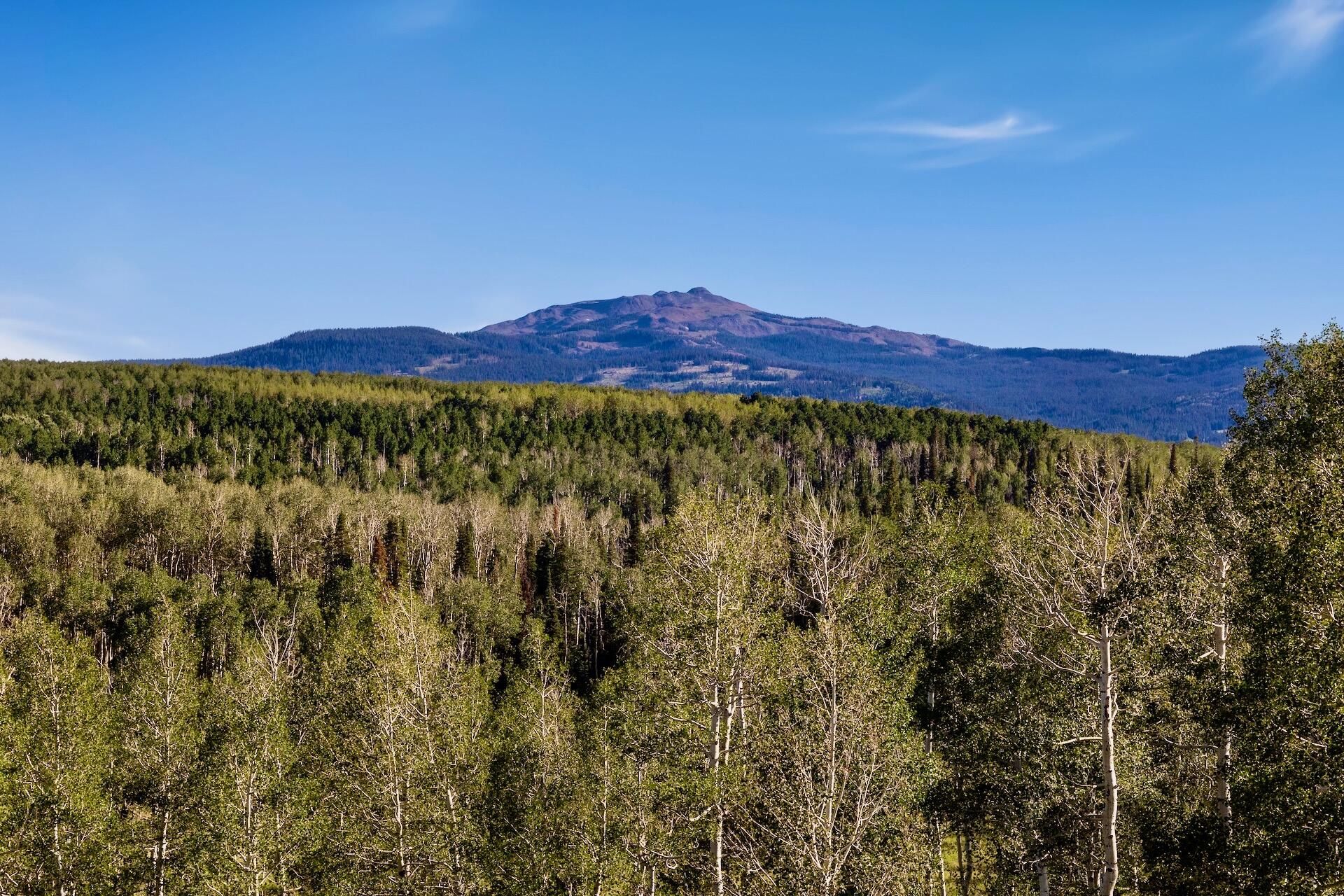 8076 County Rd M44 Placerville, CO 81430 - Photo 33 of 58 8076 CR M44