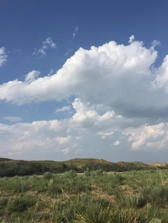 $39,750 | 401 Flint Acres Drive, Dumas, TX 79029