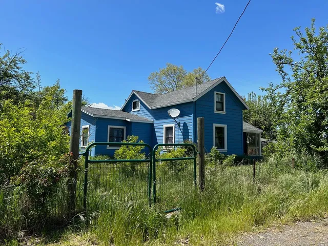 a house view with a big yard plants and large trees