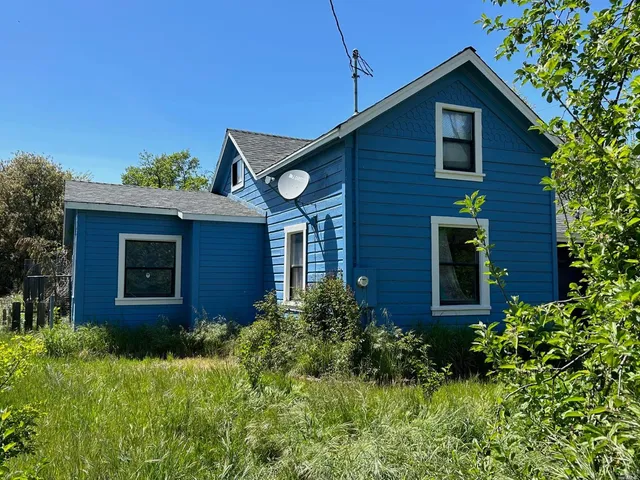 a view of a house with potted plants and a large tree