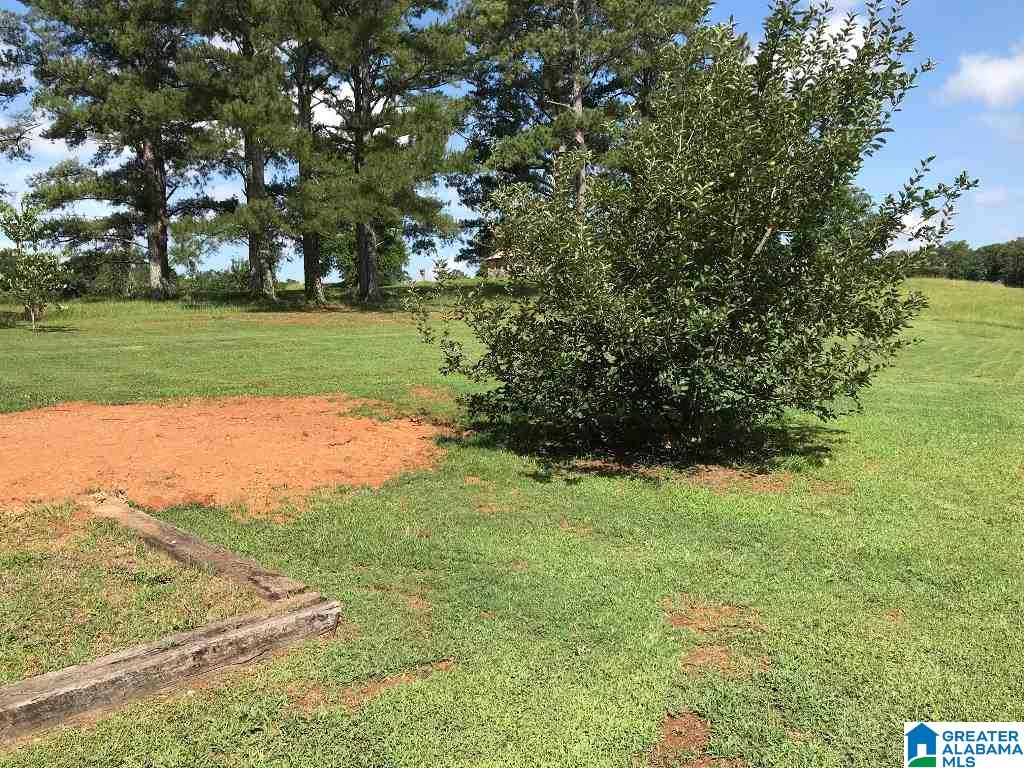 4695 Mcintosh Road Oxford, AL 36203 - Photo 43 of 49
