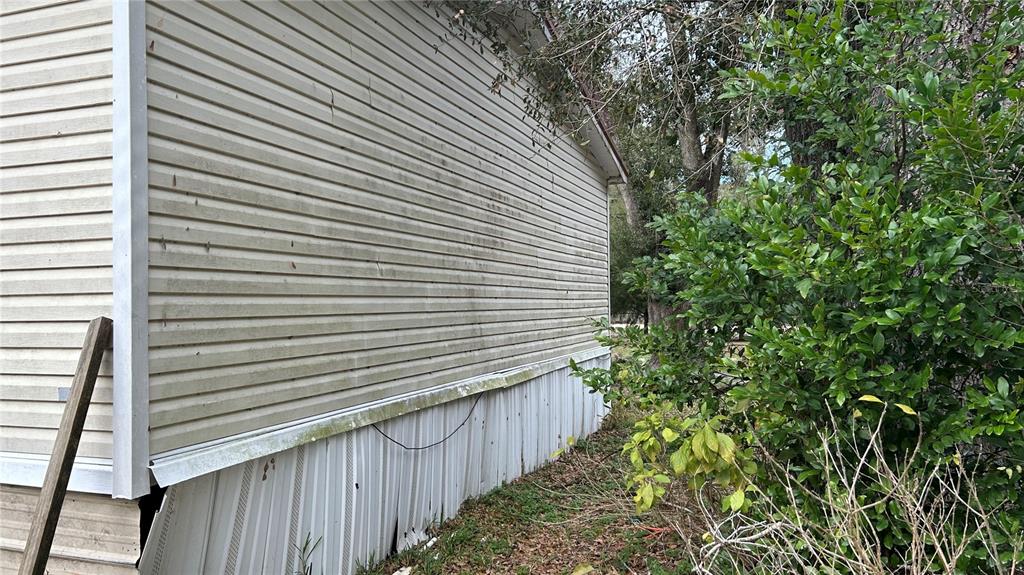 13752 Suwannee Boulevard O'Brien, FL 32071 - Photo 2 of 19 a view of a backyard with plants