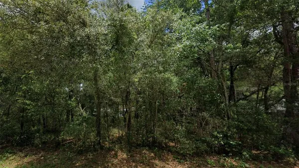 $21,900 | 3301 East Anderson, Inverness, FL 34453