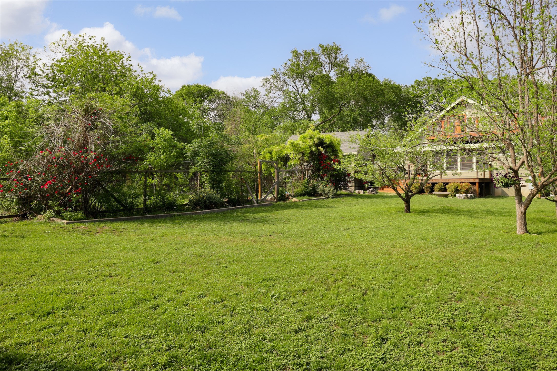 1917 Miles Avenue Austin, TX 78745 - Photo 33 of 39 a view of a park with large trees