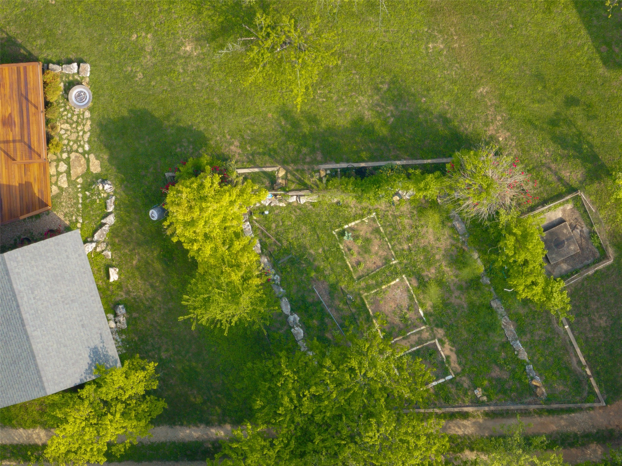 1917 Miles Avenue Austin, TX 78745 - Photo 35 of 39 a view of a garden
