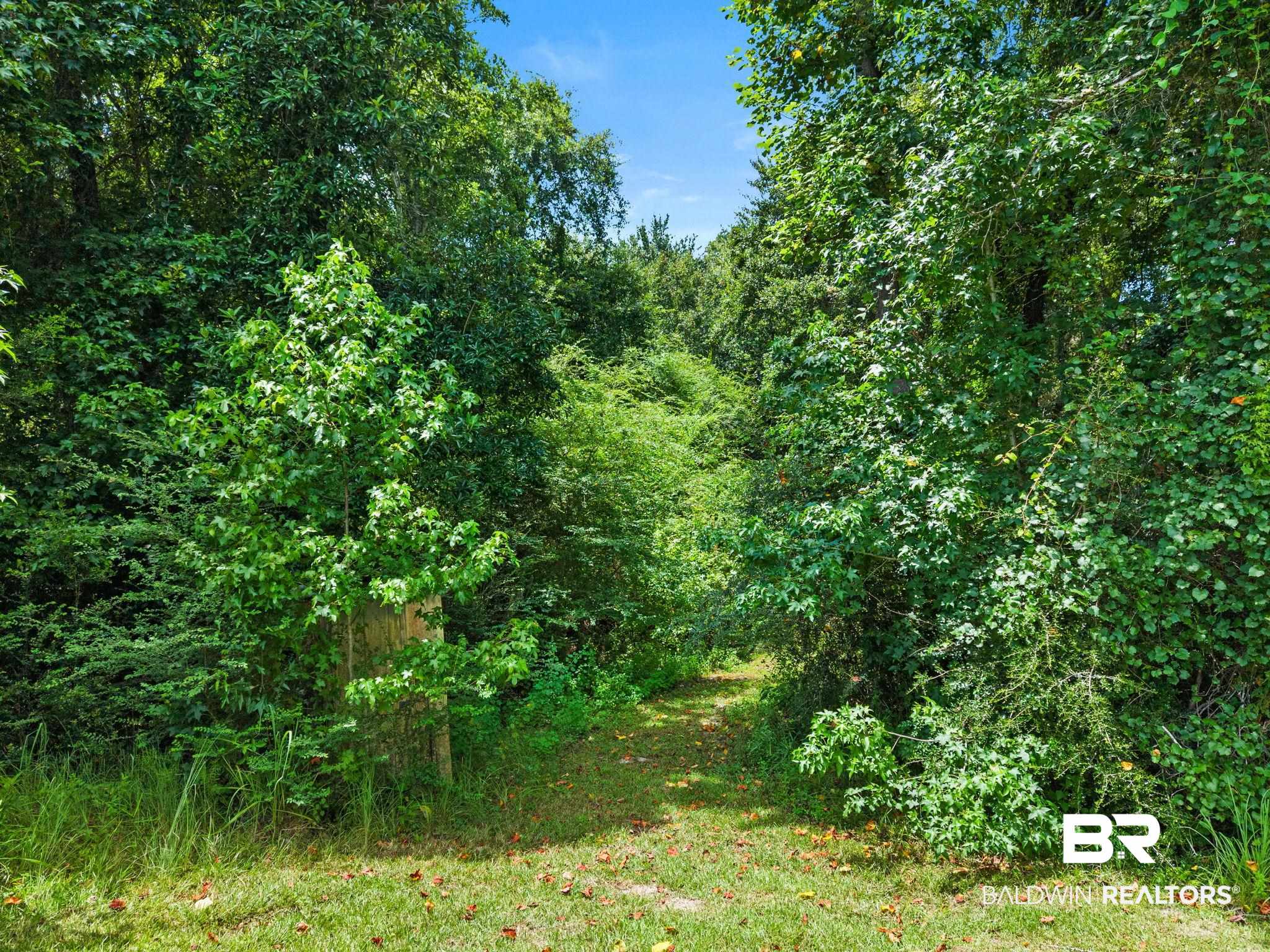 3470 Bellfork Road Atmore, AL 36502 - Photo 57 of 74