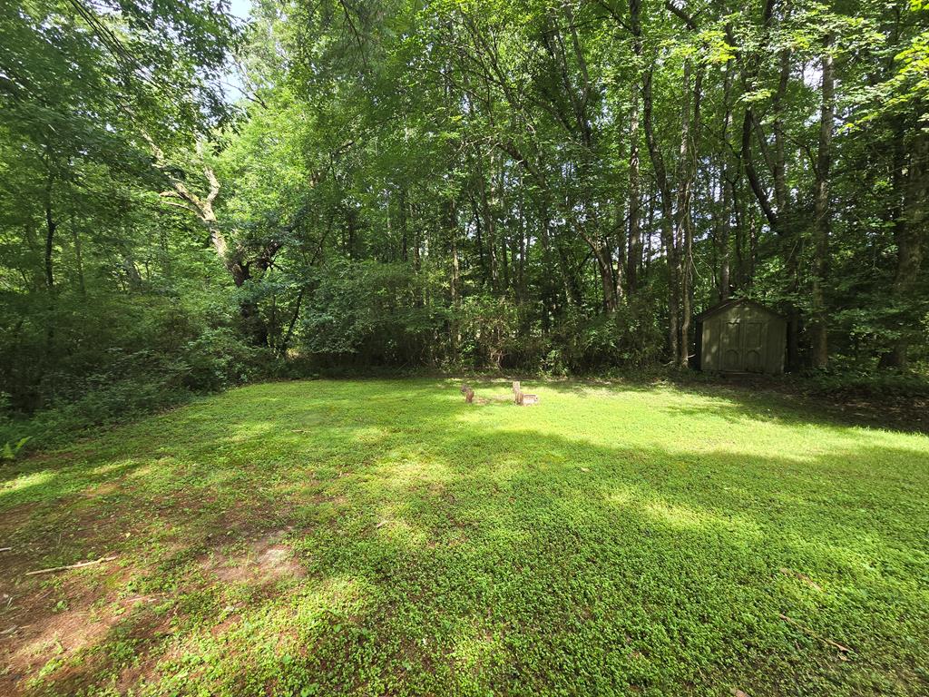 641 Cold Branch Road Hayesville, NC 28904 - Photo 69 of 76