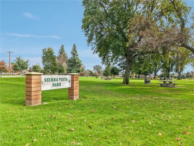 a view of a park with large trees