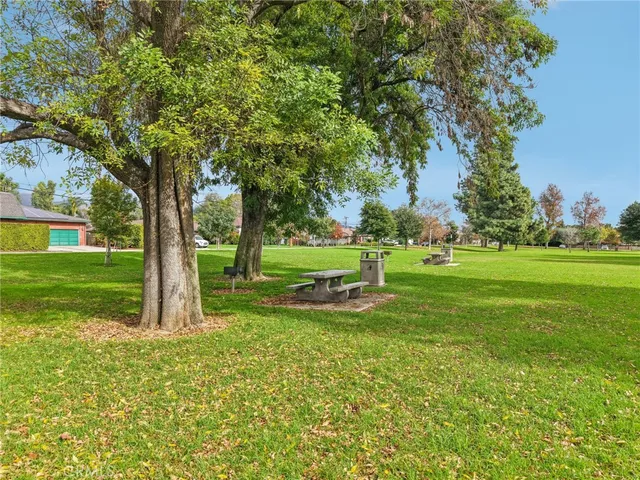 a view of a park with large trees