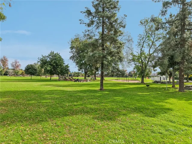 a big yard with lots of trees