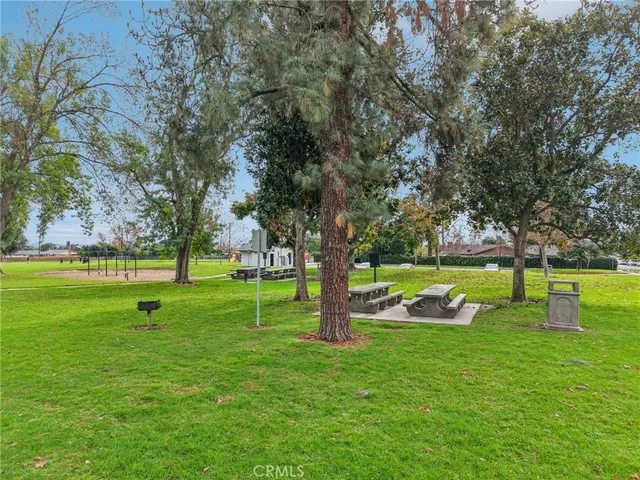 a view of a park with large trees
