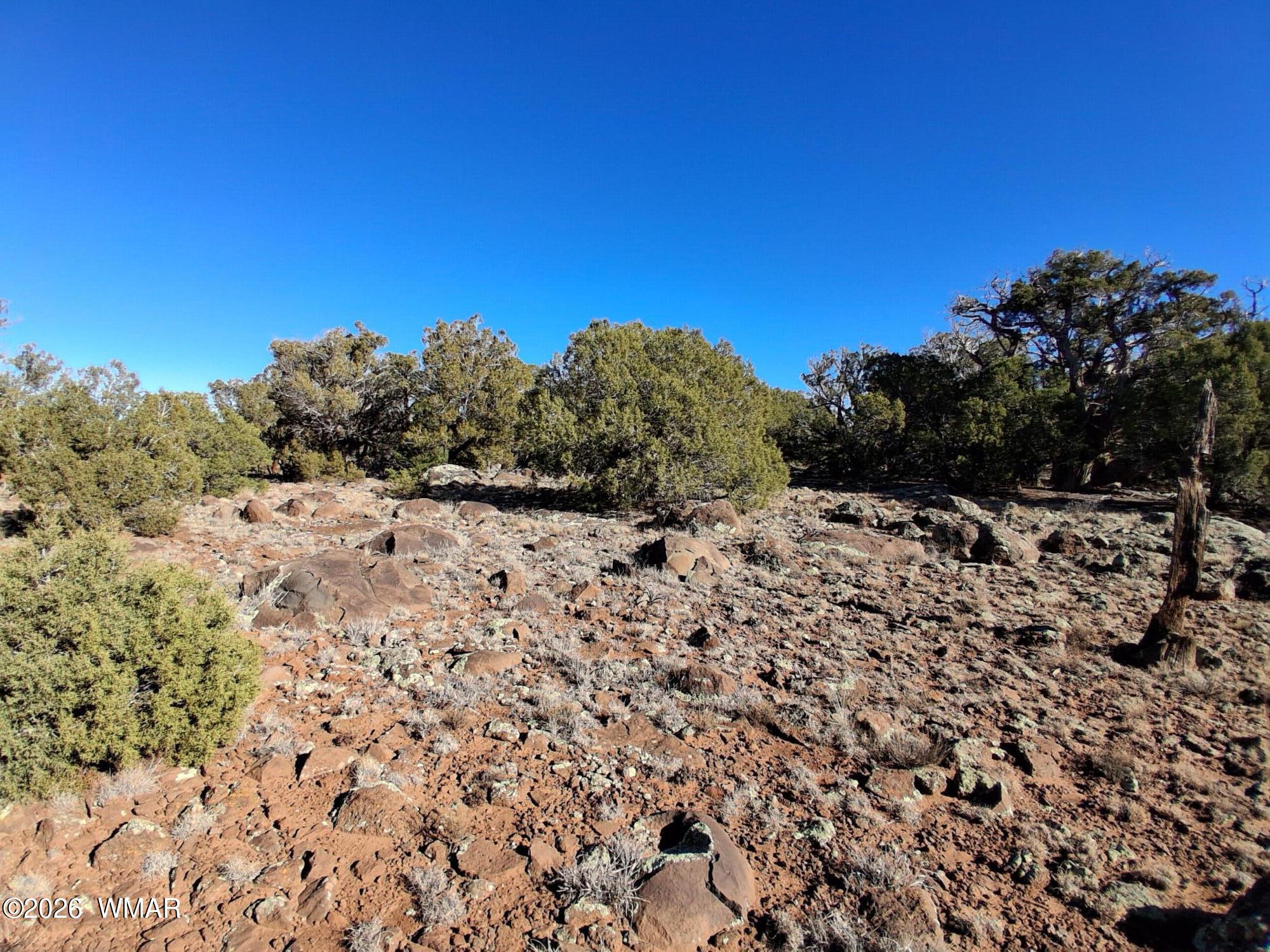202 County Road Concho, AZ 85924 - Photo 2 of 5