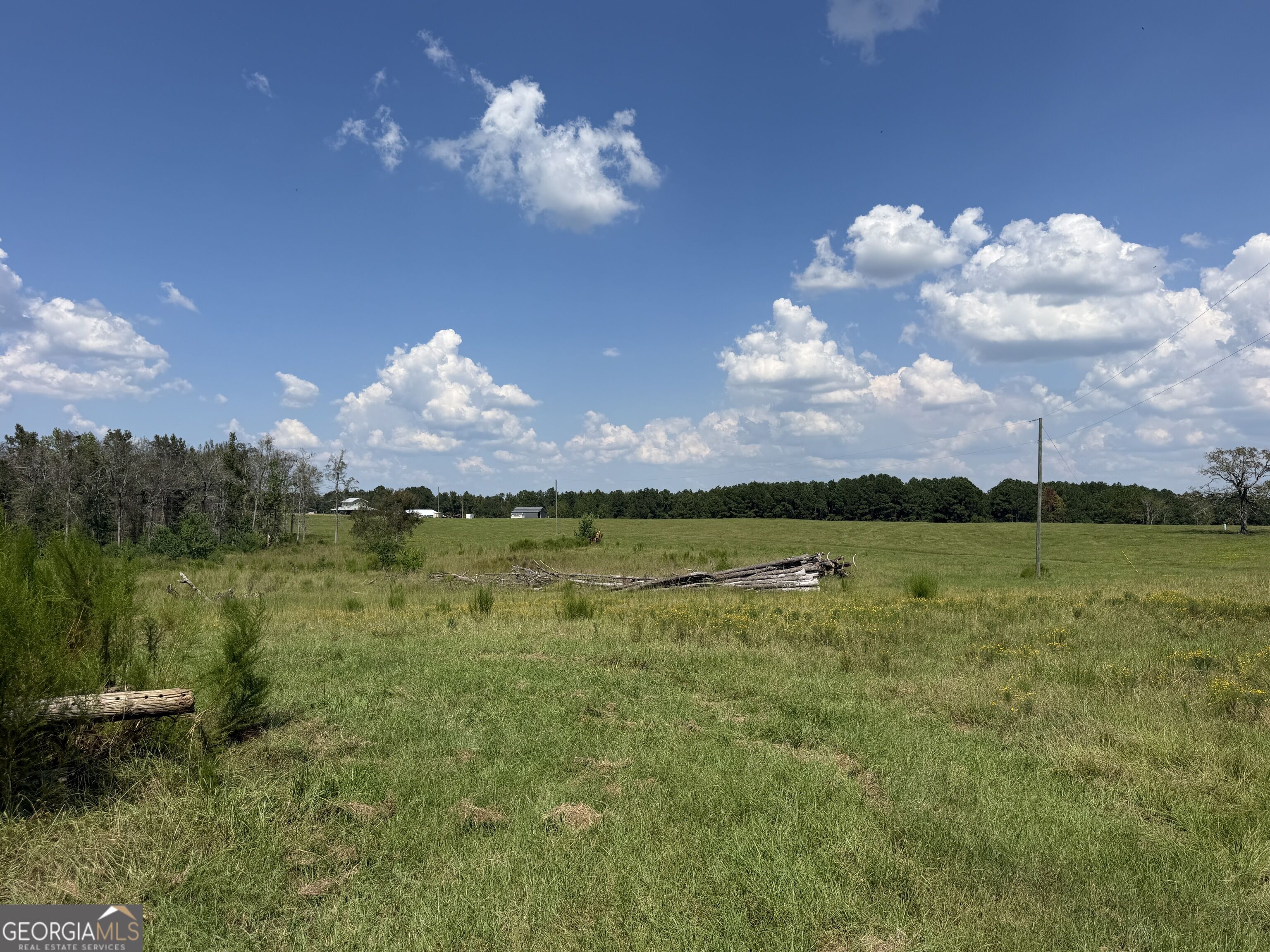 23.03-acres Carters Bridge Road Claxton, GA 30417 - Photo 8 of 20 Gallery Image 8