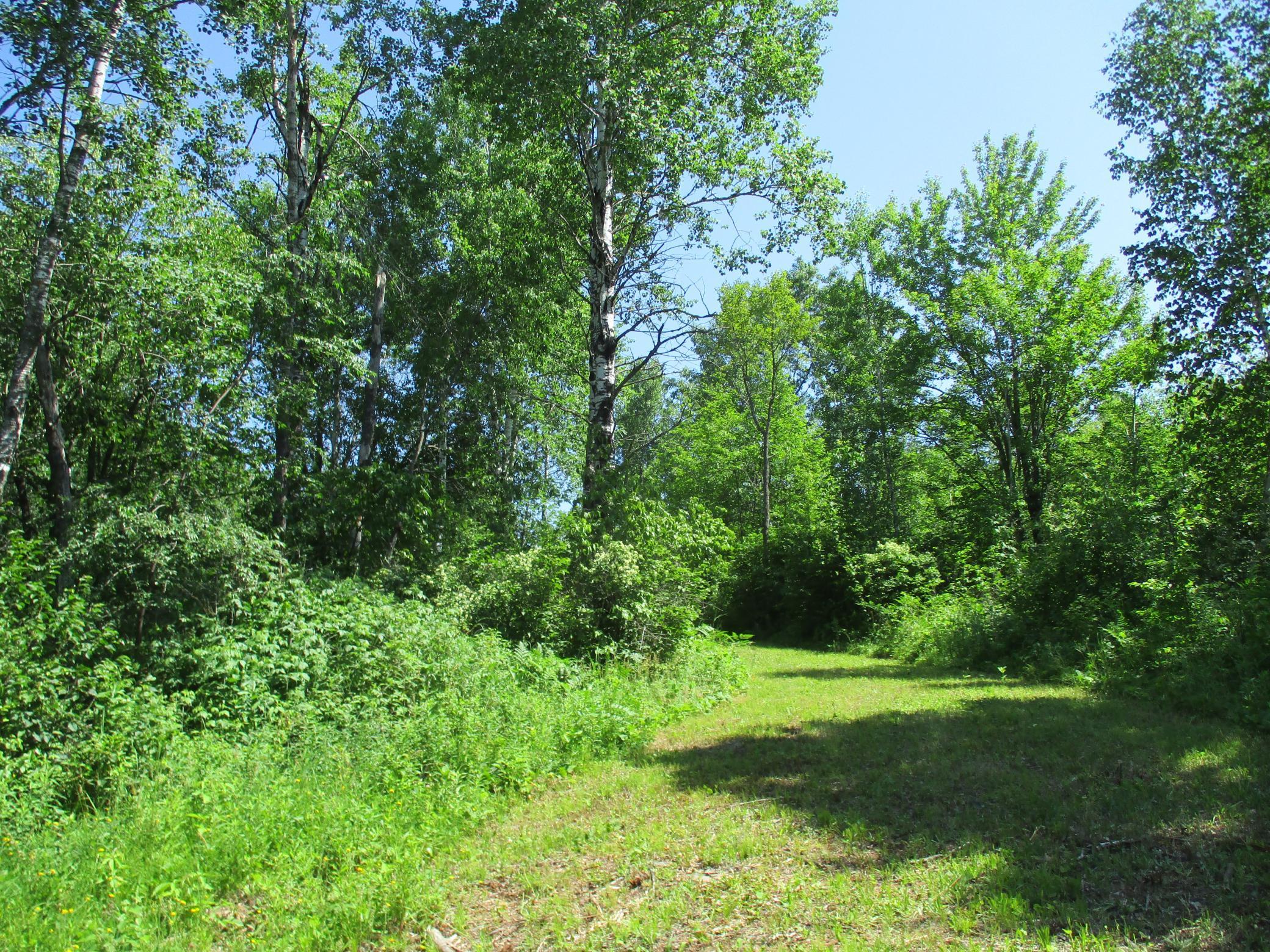 Xxx South Montgomery Road Danbury, WI 54830 - Photo 1 of 1 Gallery Image 1