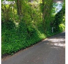 Southwest College Street Portland, OR 97201 - Photo 2 of 2 Gallery Image 2