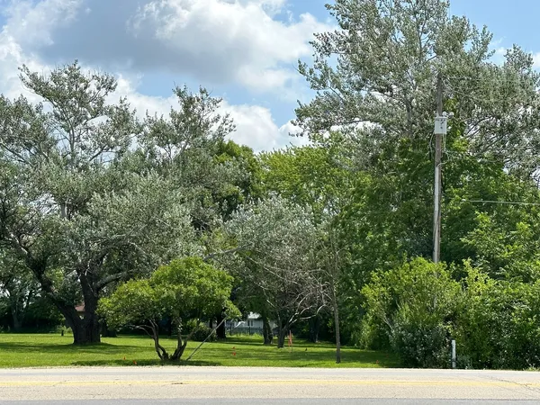 a view of a road with a trees