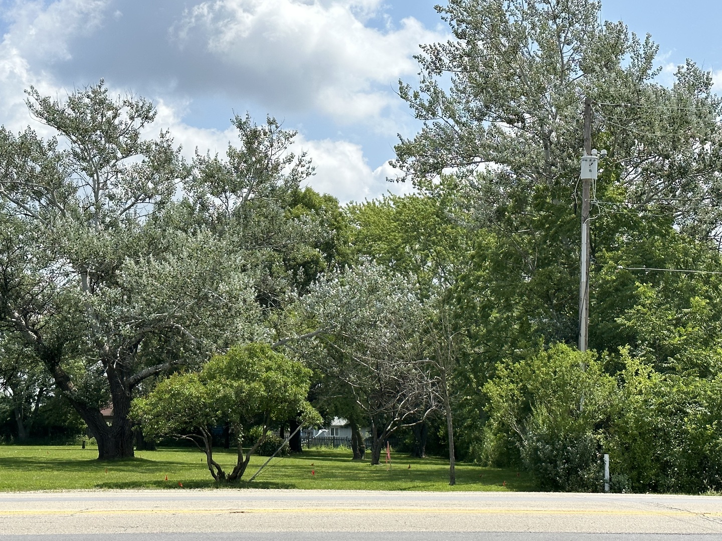 14463 South Bell Road Homer Glen, IL 60491 - Photo 2 of 3 a view of a road with a trees
