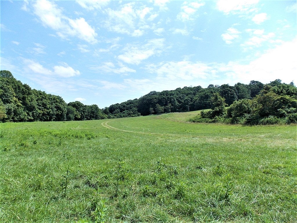 604 Lone Ash Road Barren Springs, VA 24313 - Photo 2 of 39 Gallery Image 2