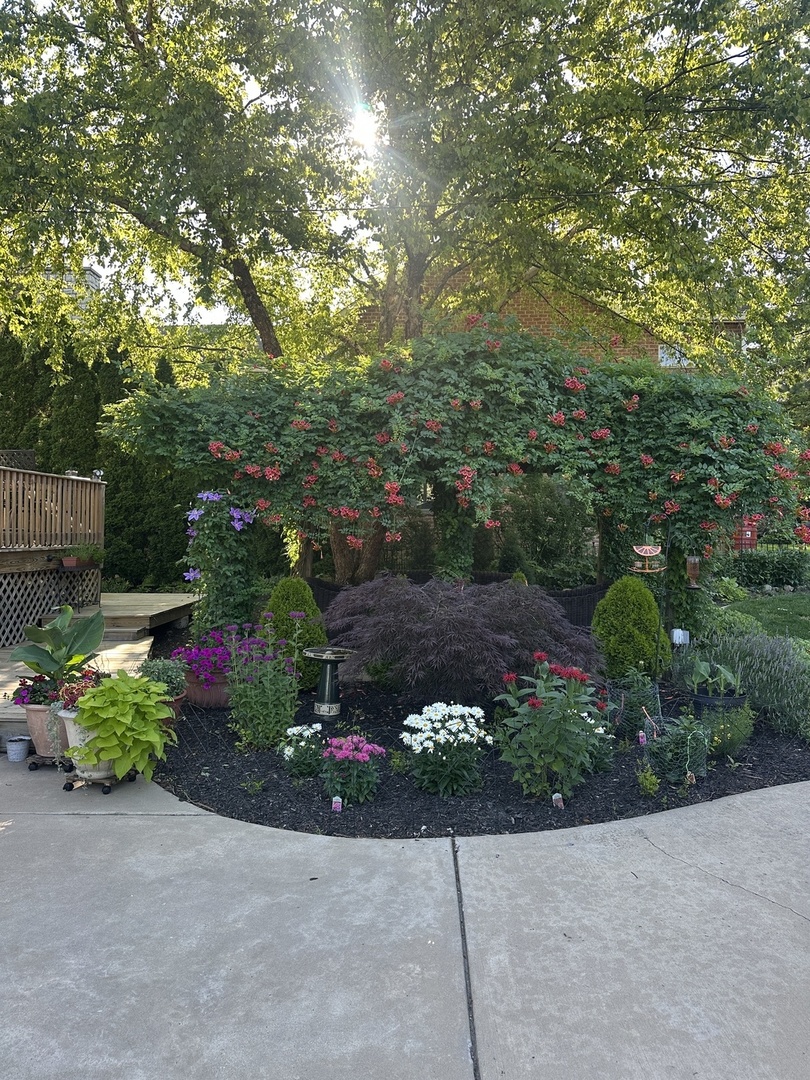 623 Franklin Street Downers Grove, IL 60515 - Photo 43 of 50