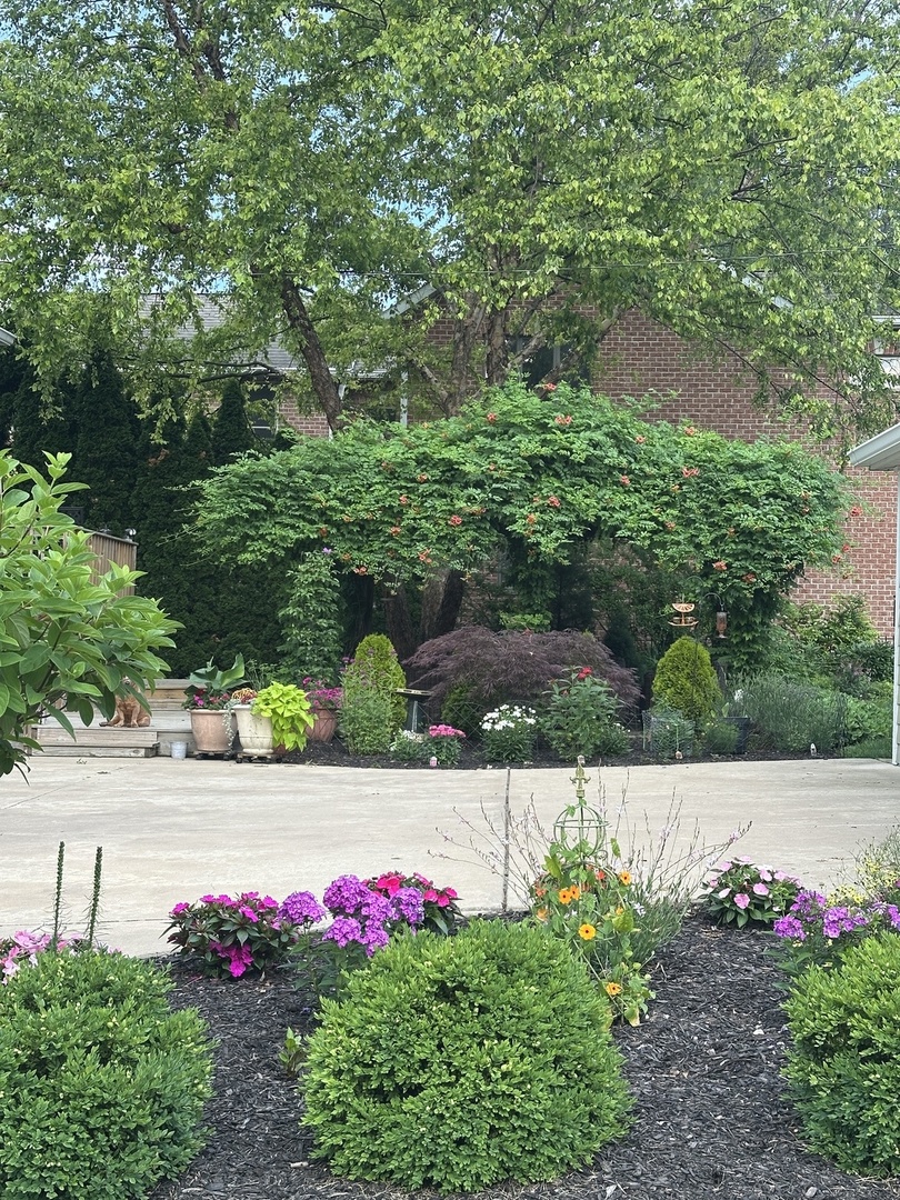 623 Franklin Street Downers Grove, IL 60515 - Photo 44 of 50