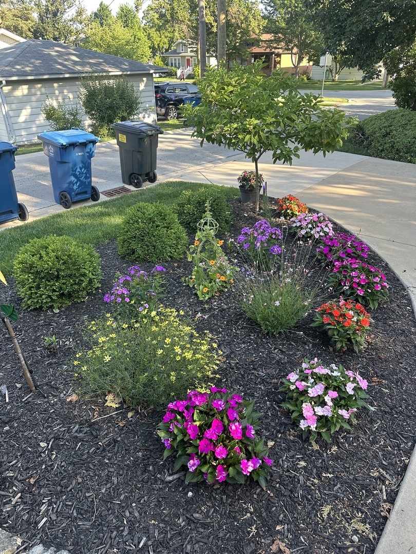 623 Franklin Street Downers Grove, IL 60515 - Photo 45 of 50