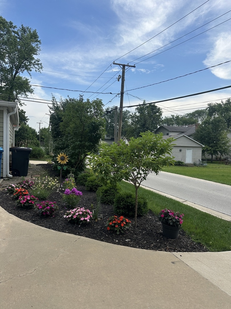 623 Franklin Street Downers Grove, IL 60515 - Photo 48 of 50