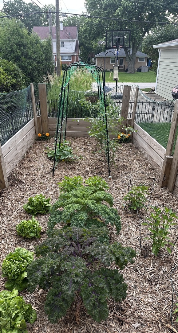 623 Franklin Street Downers Grove, IL 60515 - Photo 49 of 50