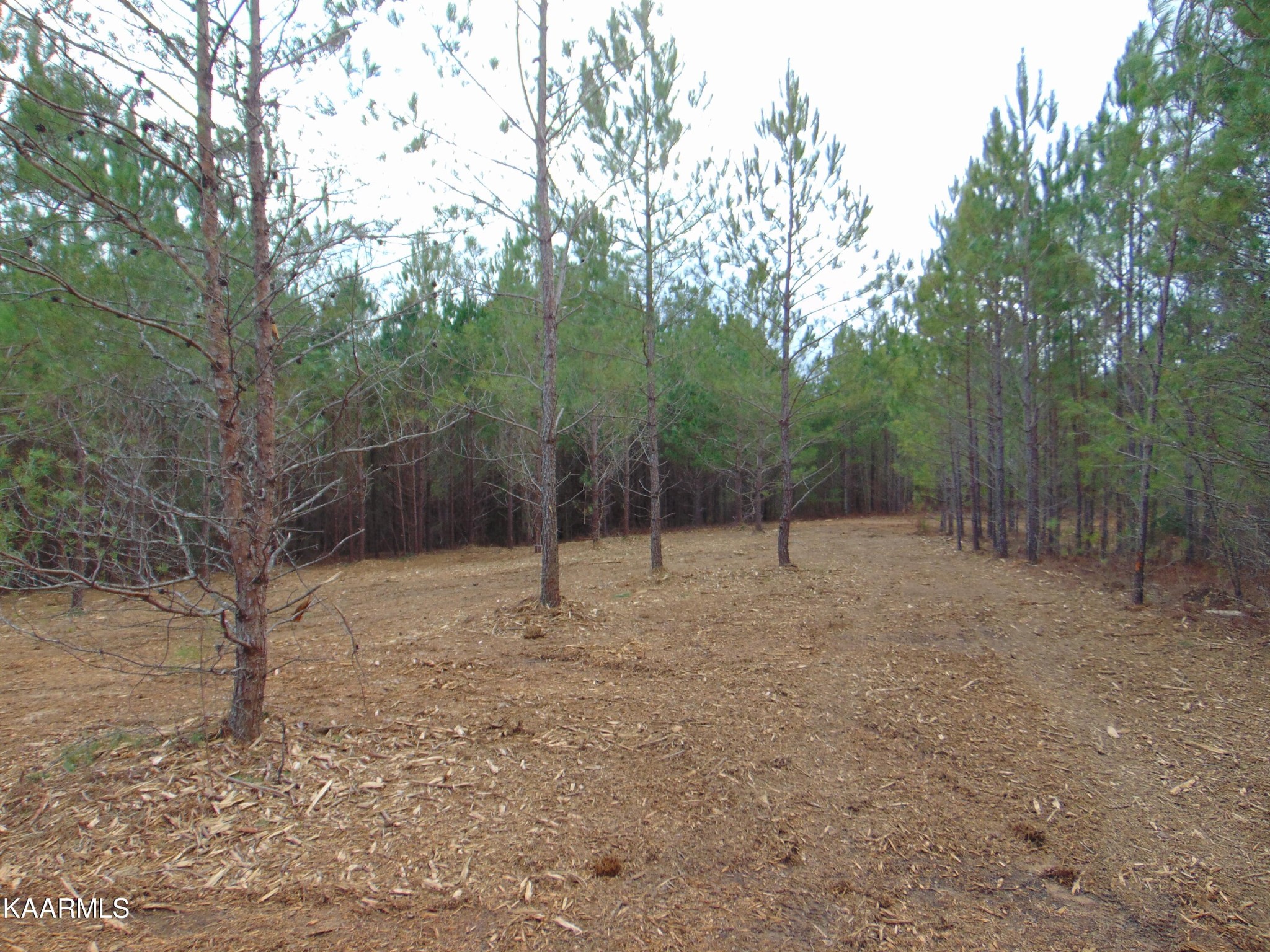 14 Athens Road Calhoun, TN 37309 - Photo 16 of 50 Gallery Image 16