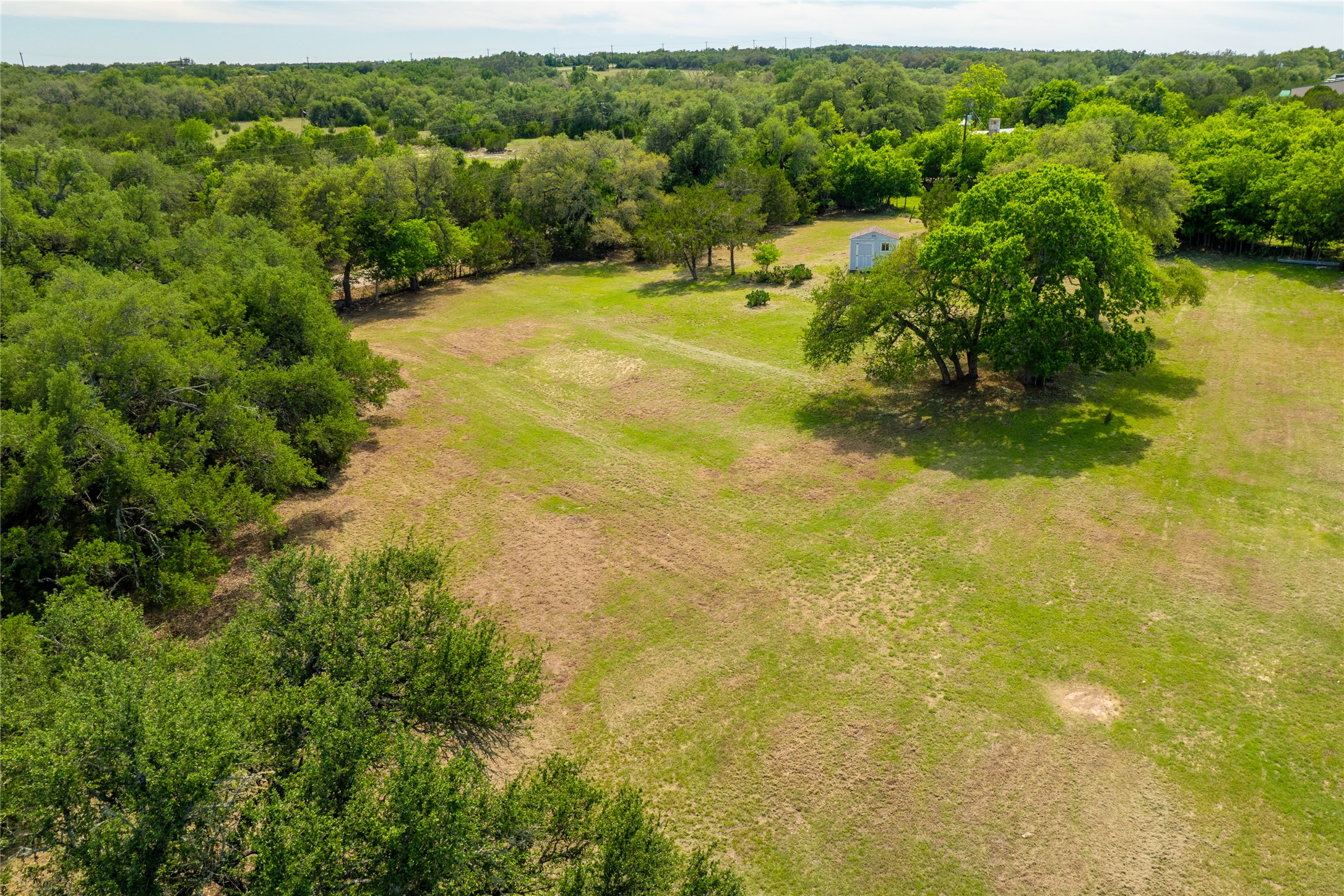187 Beauchamp Road Dripping Springs, TX 78620 - Photo 19 of 19 Expansive open field with scattered mature trees and dense perimeter foliage