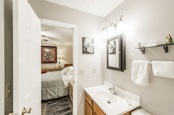 430 Walton Ferry Road, Unit 807 Hendersonville, TN 37075 - Photo 15 of 24 a bathroom with a sink and mirror