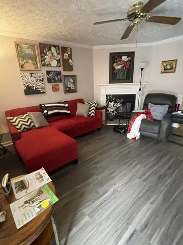 a living room with furniture and a couch