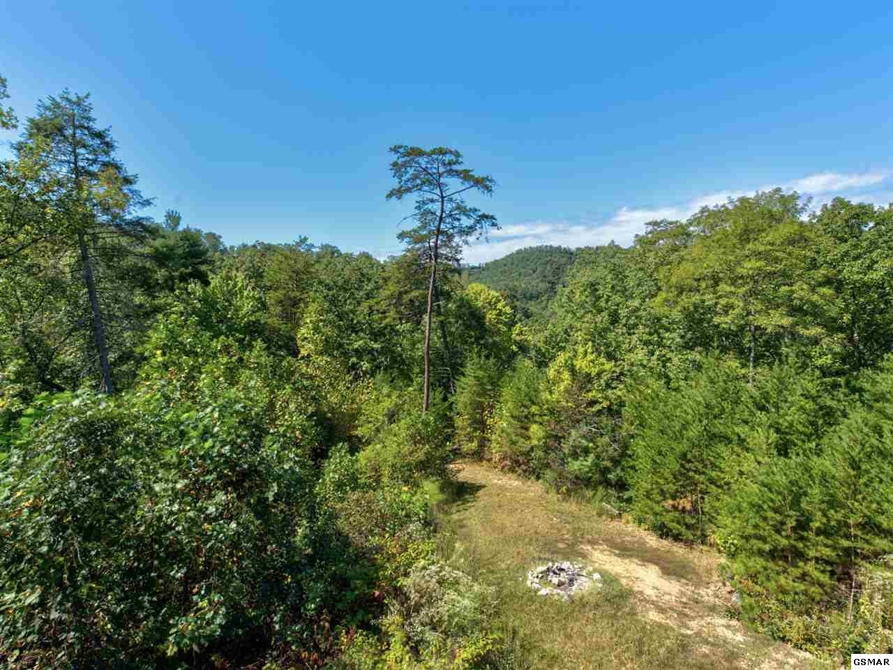 4543 Whetstone Road, Unit NATURESPARADISE Sevierville, TN 37862 - Photo 26 of 27 Gallery Image 26