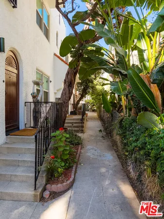 a view of path along with potted plants
