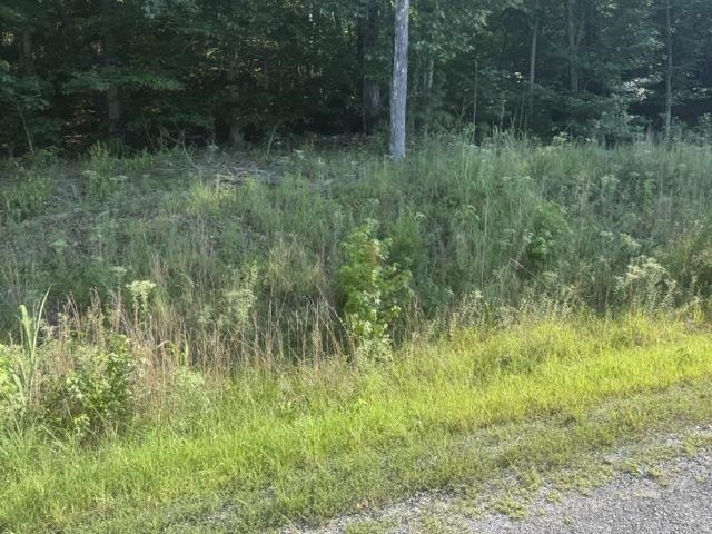 6 Carroll Hollow Road Waynesboro, TN 38485 - Photo 14 of 20 Gallery Image 14