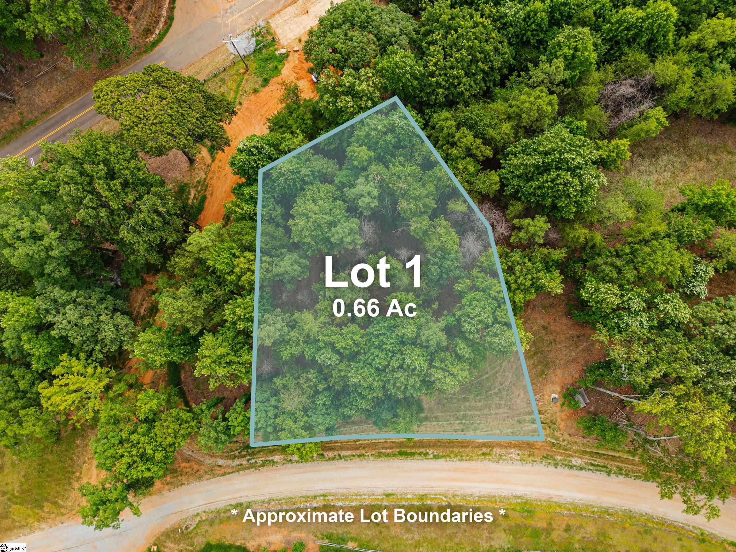 309 Mountain Top Trail Easley, SC 29640 - Photo 2 of 10