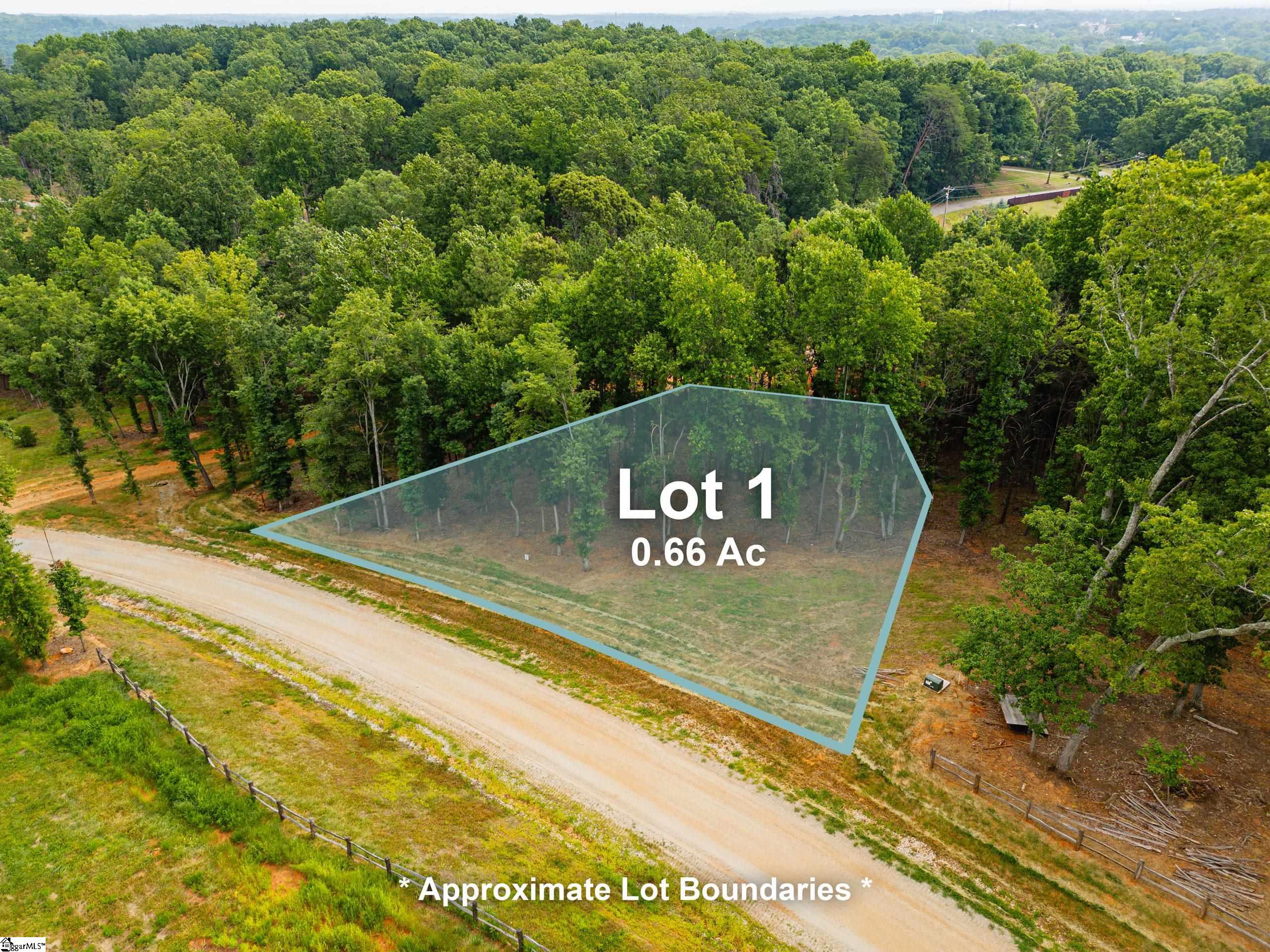 309 Mountain Top Trail Easley, SC 29640 - Photo 3 of 10