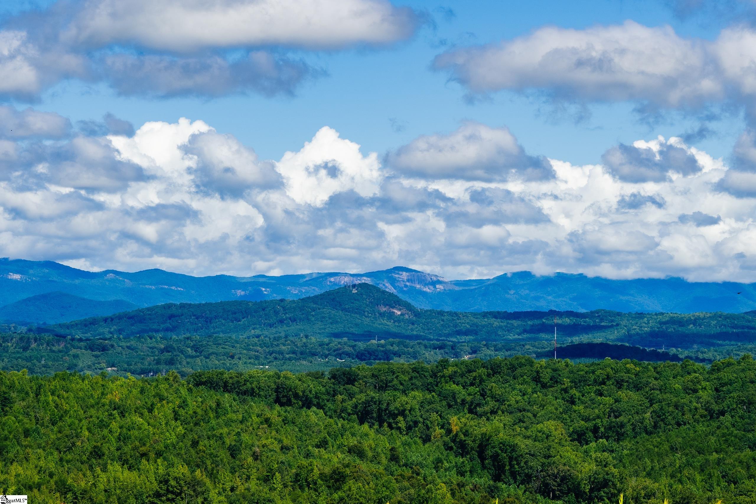 309 Mountain Top Trail Easley, SC 29640 - Photo 9 of 10 View From Mountain Top Common Facility